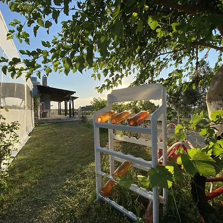 Bagban Bed & Breakfast 3*