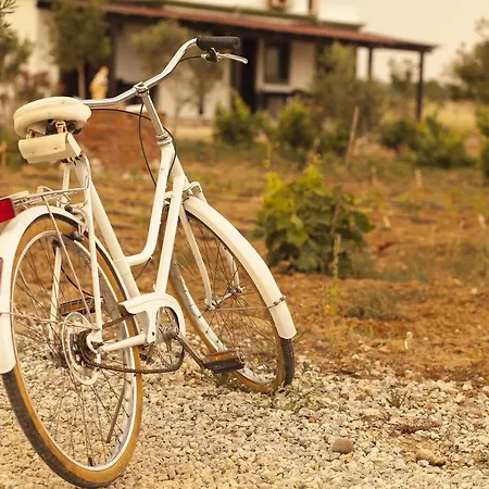 Bed & Breakfast Bagban